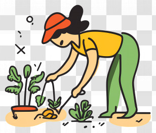 Tend To Garden - Person Gardening With Vegetables Transparent PNG