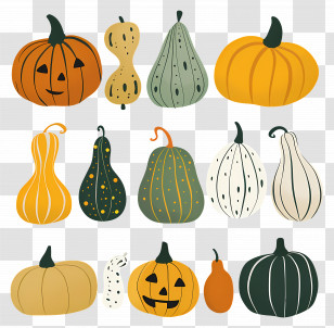 Pumpkins - Colorful Pumpkins And Gourds For Autumn Celebrations Transparent PNG