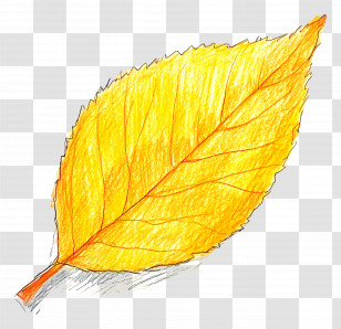 Leaf Drawing - Yellow Leaf Drawing Transparent PNG