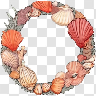 Seashell Frame
 - Intricate Seashell Wreath Decoration Transparent PNG