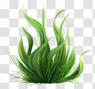 Grass Plant - Bright Green Grass For Spring Gardens Transparent PNG