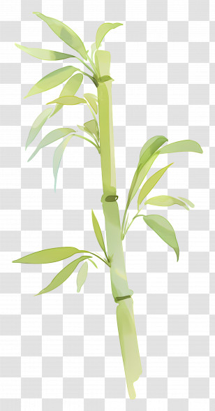 Watercolor Bamboo - Green Bamboo Plant Illustration Transparent PNG