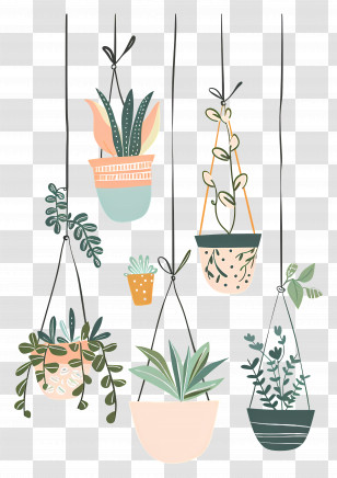 Houseplants Hanging - Illustration Of Hanging Potted Plants For Home Decor Transparent PNG