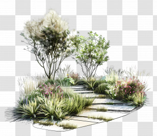 Modern Garden - Beautiful Garden Path With Plants Transparent PNG