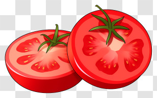 Tomato - Freshly Sliced Tomato Illustration Transparent PNG