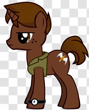 Pony Tenth Doctor Derpy Hooves Rainbow Dash - Fictional Character - Safaris Vector Transparent PNG