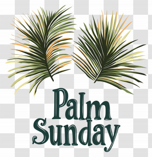 Palm Sunday - Palm Sunday Leaves Illustration Transparent PNG