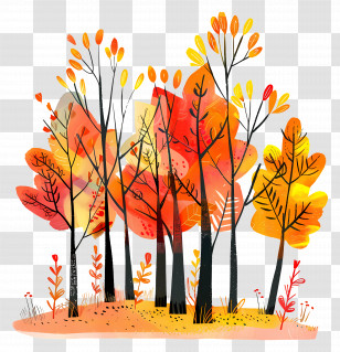 Autumn Forest - Autumn Trees With Colorful Leaves Transparent PNG
