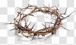 Stock Photography Crown Of Thorns Royalty-free - Royaltyfree - Bigstock Transparent PNG