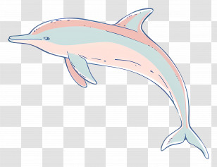 Dolphin - Elegant Dolphin Drawing In Pastel Colors Transparent PNG