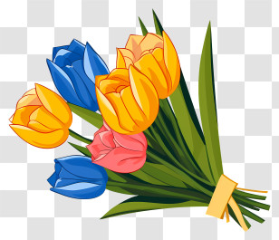 Tulips - Bright And Colorful Tulip Flower Bouquet Transparent PNG