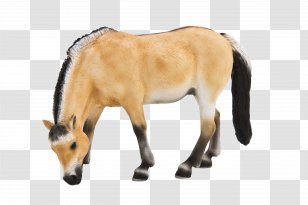 Pony Roblox Corporation Foal Horse Heart Rate Transparent Png - pony roblox corporation foal horse horse png clipart free