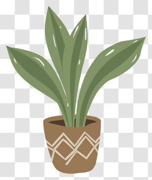 Potted Plant - Potted Plant Illustration Transparent PNG