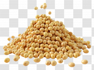 Soy Beans - Pile Of Soybeans Transparent PNG