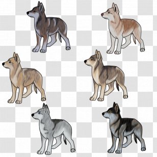 Saarloos Wolfdog Czechoslovakian Italian Greyhound Whippet Sloughi - Puppy Transparent PNG