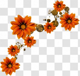 Flower Clip Art - Chrysanthemum - Yellow Floral Decoration Pattern Transparent PNG