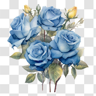 Watercolor Blue Rose
 - Blue Rose Bouquet Illustration For Decoration Transparent PNG