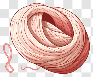 Pink Wool - Pink Yarn Ball With Knitting Thread Transparent PNG