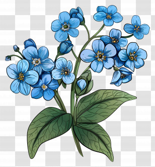 Blue Flowers - Blue Flowers Botanical Illustration Transparent PNG
