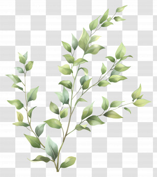 Green Twig - Green Leafy Branches Illustration Transparent PNG