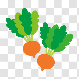 Carrots - Cartoon Radishes With Green Leaves Transparent PNG