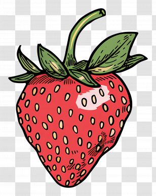 Strawberry - Detailed Strawberry Illustration Transparent PNG