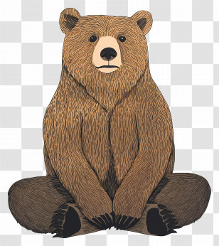 Grizzly Bear - Brown Bear Sitting Cartoon Transparent PNG