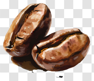 Coffee Beans - Realistic Coffee Bean Illustration Transparent PNG