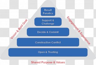 Team Members - Web Design - Organization Transparent PNG