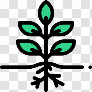 Roots - Green Plant With Roots In Nature Illustration Transparent PNG