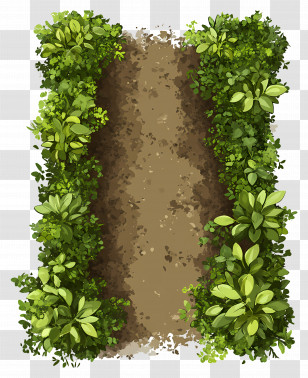 Tree Plan - Beautiful Garden Path Surrounded By Greenery Transparent PNG