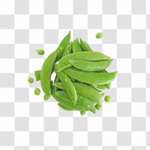 Snow Pea Snap Nutrition Cultivar Sugar - Lima Bean - Peas Transparent PNG