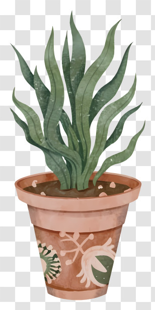 Drawing - Watercolor Potted Plant Art Transparent PNG