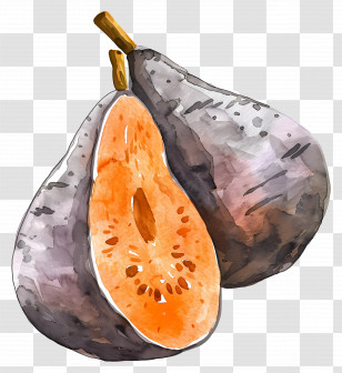 Yam - Beautiful Purple Fig Watercolor Illustration Transparent PNG