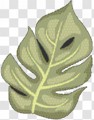 Green Leaf Background - Plane - Vascular Plant Flower Transparent PNG