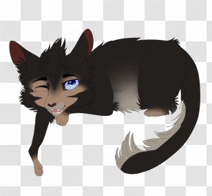Whiskers Cat Dog Canidae Fur Transparent PNG