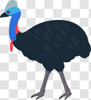 Icon - Illustrated Cassowary Bird With Colorful Head Transparent PNG