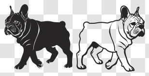Dog Silhouette - Black And White Bulldog Silhouettes Transparent PNG