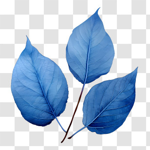 Blue Leaves - Blue Leaves Illustration Transparent PNG