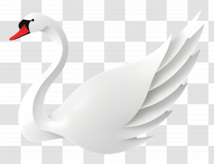 White Swan - Graceful White Swan In Vector Style Transparent PNG