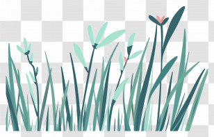 Grass - Green Grass And Plants Illustration Transparent PNG