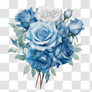 Watercolor Blue Rose
 - Beautiful Blue Roses Bouquet Transparent PNG