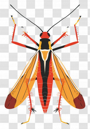 Cartoon Insect - Colorful Insect Illustration Transparent PNG