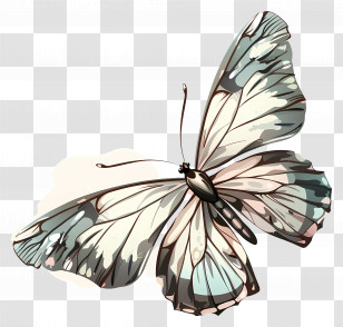 Butterfly - Delicate Butterfly With Light Patterns Transparent PNG