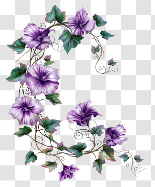 Purple Flower Vine - Floral Design With Purple Morning Glories Transparent PNG
