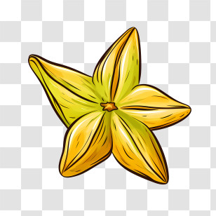 Starfruit - Yellow Carambola Fruit Illustration Transparent PNG