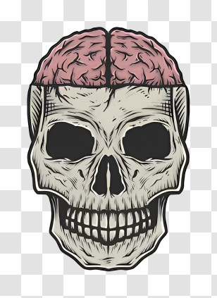 Icon - Skull With Brain Cartoon Illustration Transparent PNG