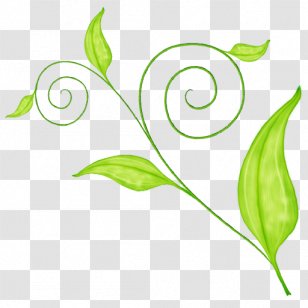 Safflower With Green Leaves - Grass - Theme Transparent PNG