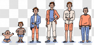 Human Life Cycle - Stages Of Growth Illustration Transparent PNG