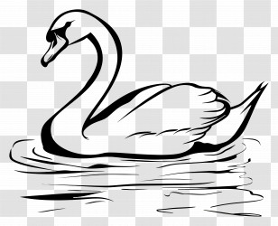 Swan Outline - Elegant Black And White Swan Illustration Transparent PNG
